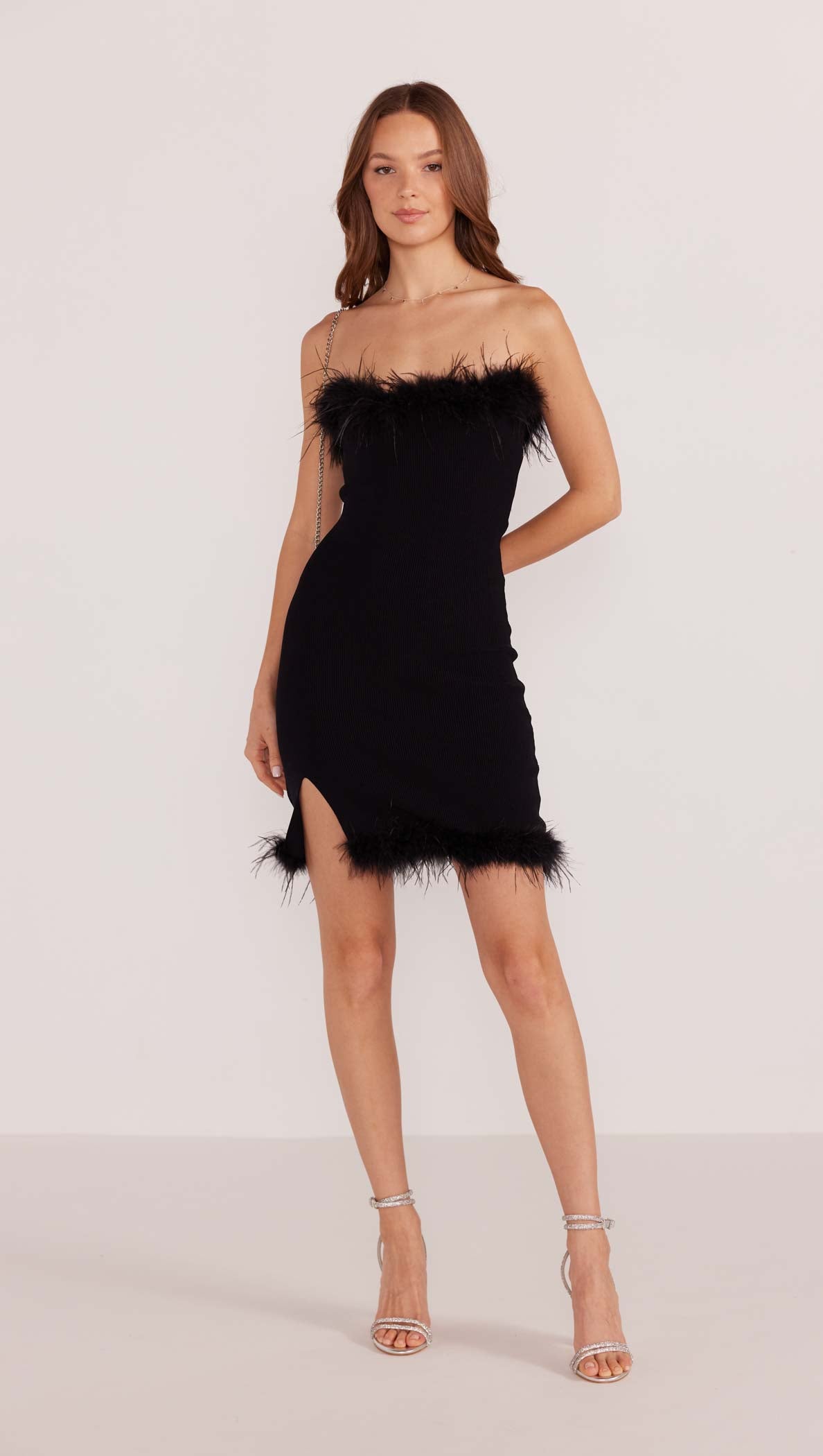 Aster Feather Trim Mini Dress